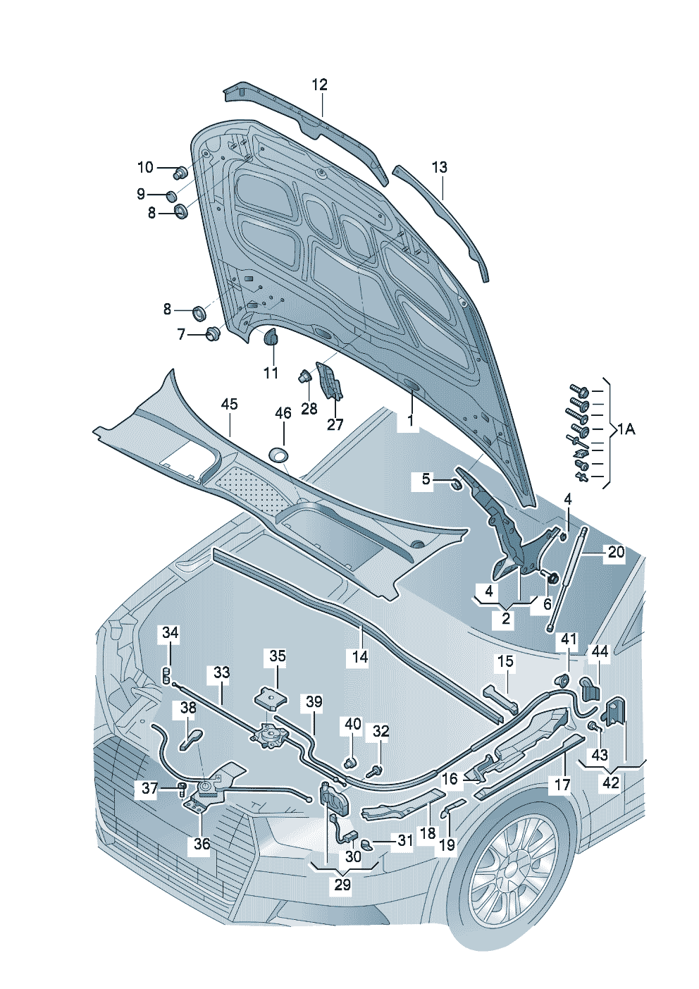 <b>Название согласно каталогу:</b> Капот